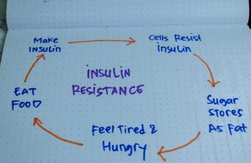 Insulin Resistance Management 4U