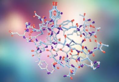 the role of insulin chemical structure Insulin and intermittent fasting