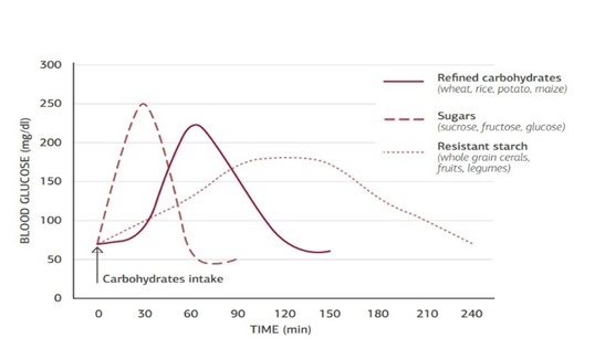 Diabetes Program Overview Guide to Blood Sugar Balancing. graph of understanding blood sugar and carbohydrate