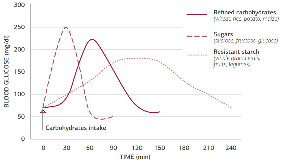 Why Focus on Blood Sugar Health.  detailed infographic or graphic design showing normal vs. high blood sugar level.